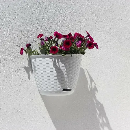 Casa Berenice Ольбия